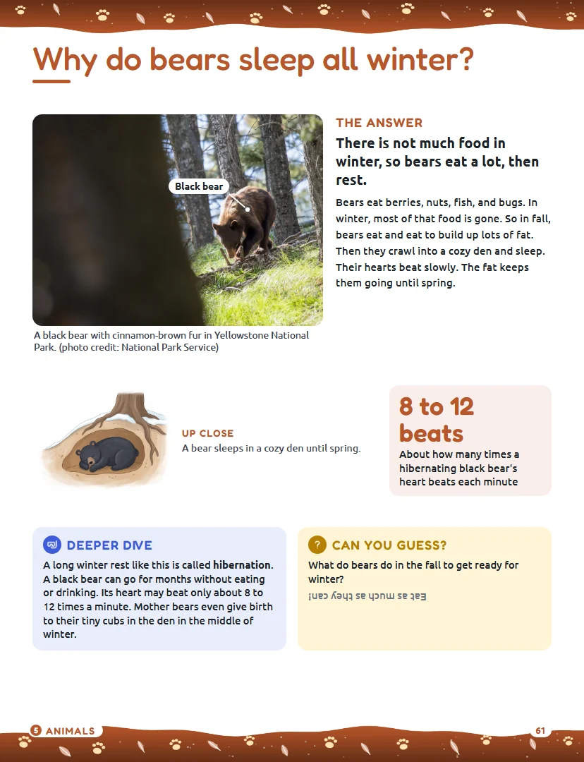 Book page: Why do bears sleep all winter? A real photo of a black bear in Yellowstone with a short answer.