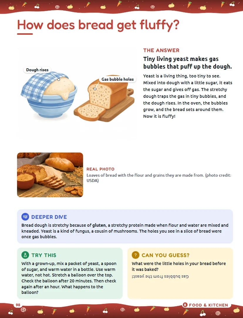 Book page: How does bread get fluffy? An illustration of rising dough and a Try This yeast experiment.